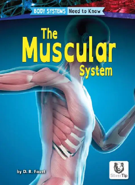 Buy The Muscular System (English, D. R. Faust) Online at Best Price - BookBajar