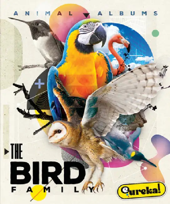 Buy The Bird Family (English, Alex Monroe) Online at Best Price - BookBajar