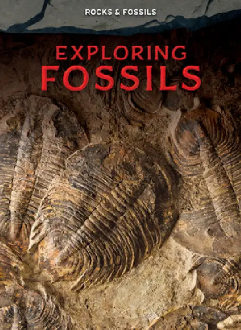 Buy Exploring Fossils (English, Claudia Martin) Online at Best Price - BookBajar