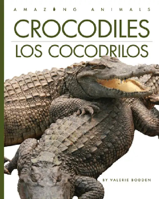 Buy Crocodiles / Los Cocodrilos (English, Valerie Bodden) Online at Best Price - BookBajar