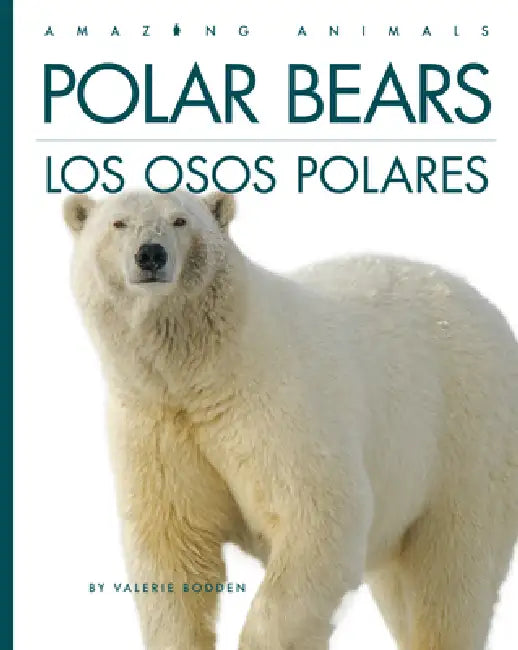 Buy Polar Bears / Los Osos Polares (English, Valerie Bodden) Online at Best Price - BookBajar