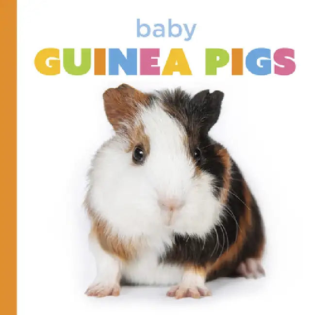 Buy Baby Guinea Pigs (English, Laura K. Murray) Online at Best Price - BookBajar