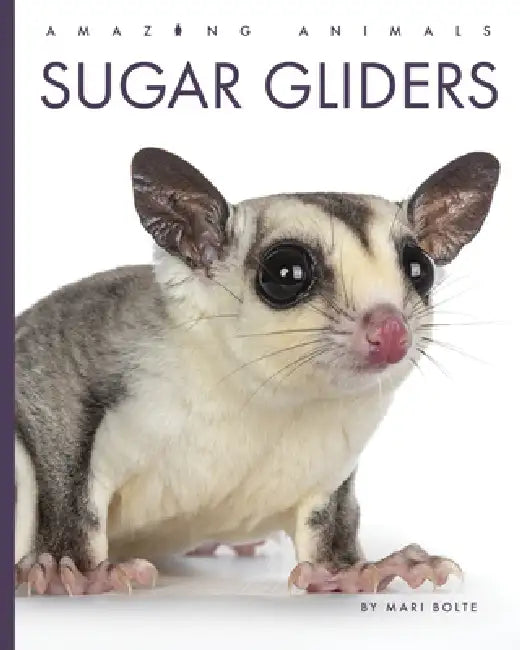Buy Sugar Gliders (English, Mari Bolte) Online at Best Price - BookBajar