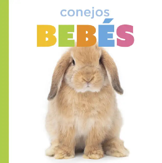 Buy Conejos Bebés (English, Laura K. Murray) Online at Best Price - BookBajar