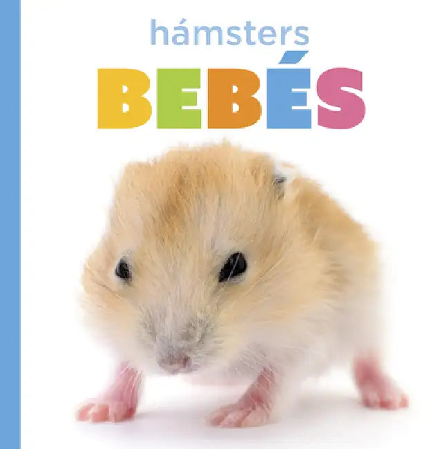 Buy Hámsters Bebés (English, Laura K. Murray) Online at Best Price - BookBajar