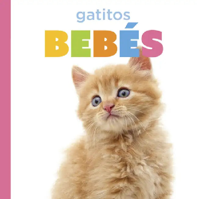 Buy Gatitos Bebés (English, Laura K. Murray) Online at Best Price - BookBajar