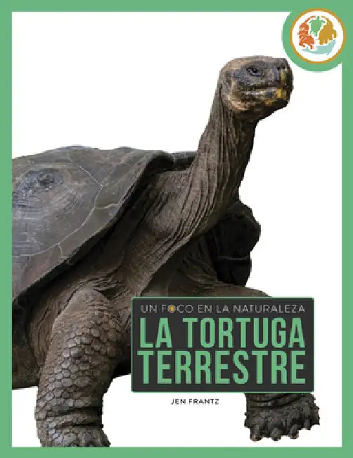 Buy La Tortuga Terrestre (English, Jen Frantz) Online at Best Price - BookBajar
