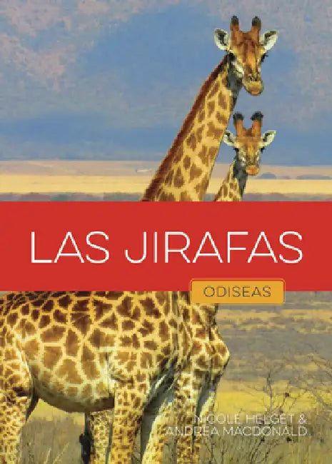 Buy Las Jirafas (English, Nicole Helget | Andrea MacDonald) Online at Best Price - BookBajar