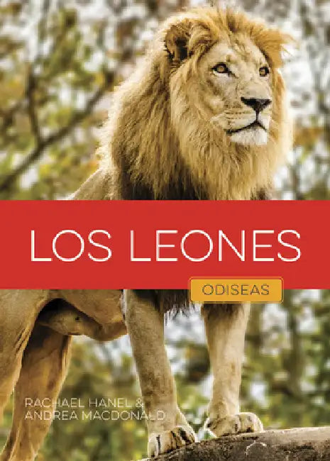Buy Los Leones (English, Rachael Hanel | Andrea MacDonald) Online at Best Price - BookBajar