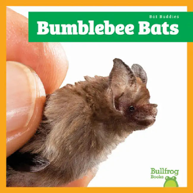 Buy Bumblebee Bats (English, Jenna Lee Gleisner) Online at Best Price - BookBajar