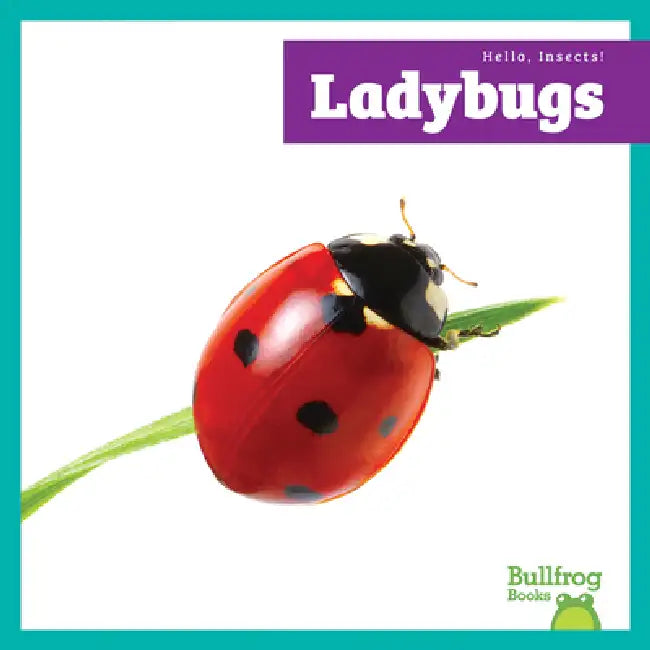 Buy Ladybugs (English, Genevieve Nilsen) Online at Best Price - BookBajar