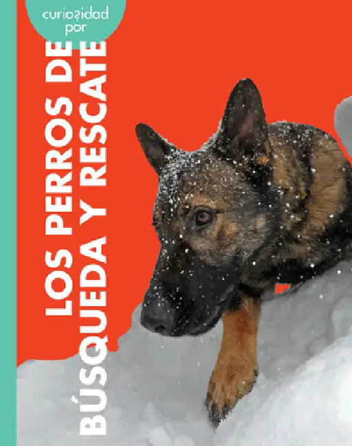 Buy Curiosidad Por Los Perros de Búsqueda Y Rescate (English, Cari Meister) Online at Best Price - BookBajar